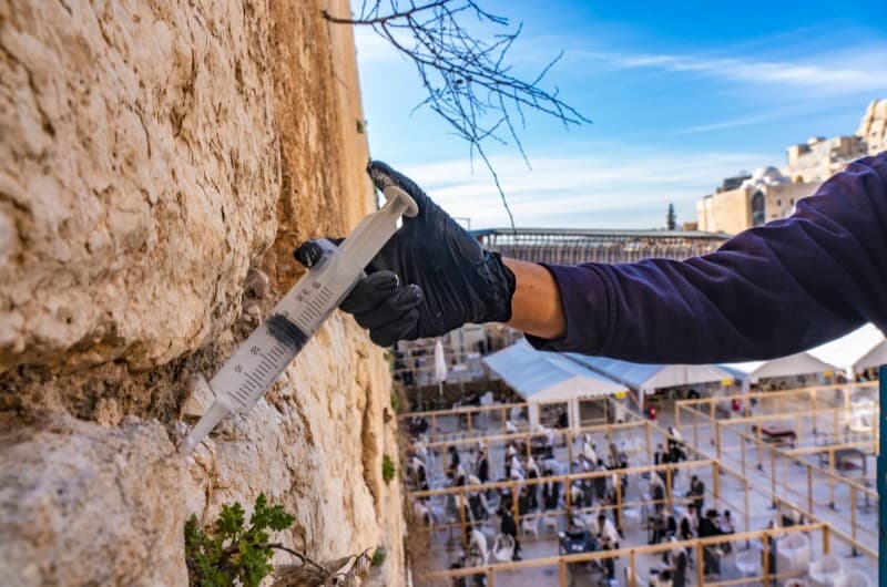 Cuidando el Kotel